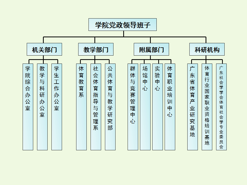 体育学院组织架构